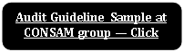 Rectangle: Rounded Corners: Audit Guideline Sample at CONSAM group — Click